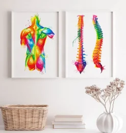Anatomie du dos - Aquarelle-Codex Anatomicus Discount
