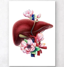 Anatomie du foie - Floral - Blanc-Codex Anatomicus Hot