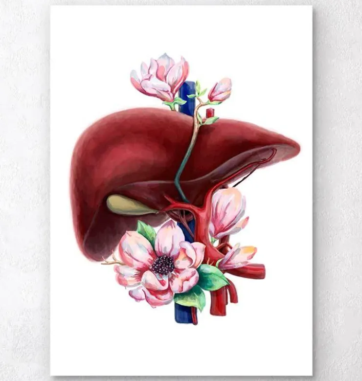 Anatomie du foie - Floral - Blanc-Codex Anatomicus Hot