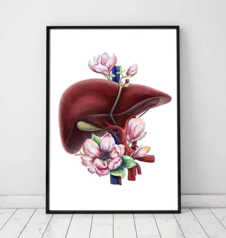 Anatomie du foie - Floral - Blanc-Codex Anatomicus Hot