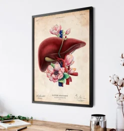 Anatomie du foie - Floral - Vieux papiers-Codex Anatomicus Outlet