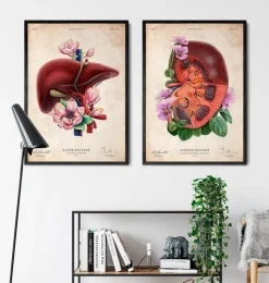 Anatomie du foie - Floral - Vieux papiers-Codex Anatomicus Outlet