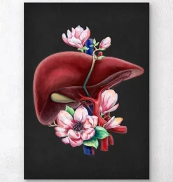 Anatomie du foie - Floral - Noir-Codex Anatomicus Discount