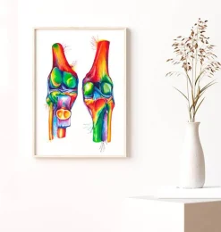 Anatomie du genou - Aquarelle-Codex Anatomicus