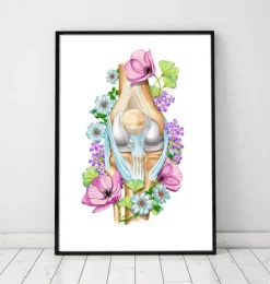 Anatomie du genou - Floral - Blanc-Codex Anatomicus Online