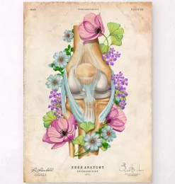 Anatomie du genou - Floral - Vintage-Codex Anatomicus Hot