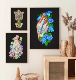 Anatomie du genou II - Floral - Noir-Codex Anatomicus Hot