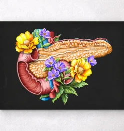 Anatomie du pancréas - Floral - Noir-Codex Anatomicus Clearance