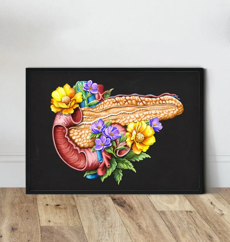 Anatomie du pancréas - Floral - Noir-Codex Anatomicus Clearance