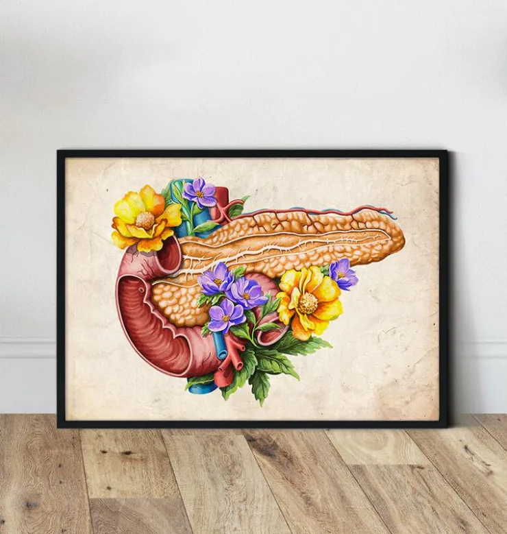 Anatomie du pancréas - Floral - Vieux papier-Codex Anatomicus Outlet
