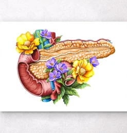Anatomie du pancréas - Floral - Blanc-Codex Anatomicus