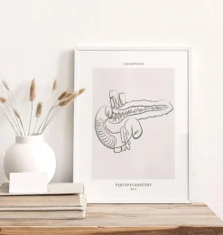 Anatomie du pancréas - Line Art-Codex Anatomicus Clearance