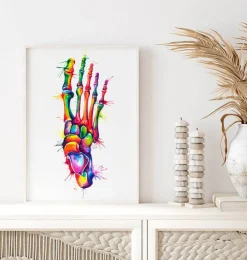 Anatomie du pied - Aquarelle-Codex Anatomicus Best