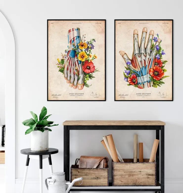 Anatomie du pied - Floral - Vintage-Codex Anatomicus Sale