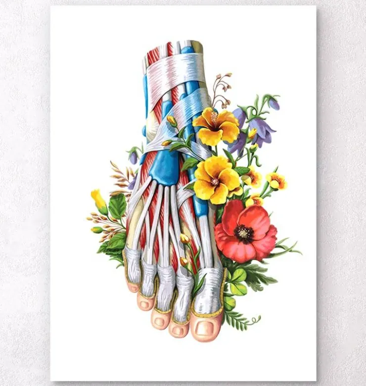 Anatomie du pied - Floral - Blanc-Codex Anatomicus Best