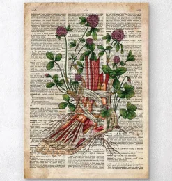 Anatomie du pied floral - Ancien dictionnaire-Codex Anatomicus Outlet