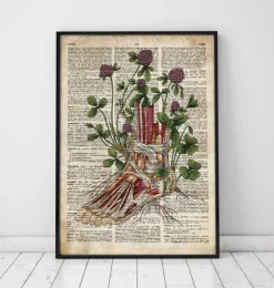 Anatomie du pied floral - Ancien dictionnaire-Codex Anatomicus Outlet