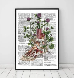 Anatomie du pied floral - Dictionnaire-Codex Anatomicus Best