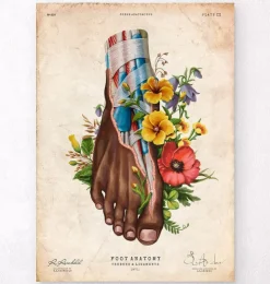 Anatomie du pied II - Floral - Vintage-Codex Anatomicus