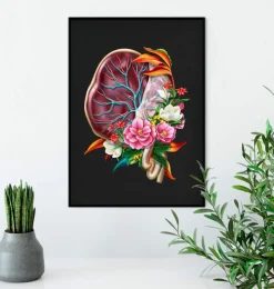Anatomie du placenta - Floral - Noir-Codex Anatomicus New