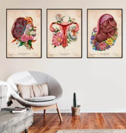 Anatomie du placenta - Floral - Vintage-Codex Anatomicus Online