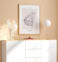 Anatomie du sein - Line Art-Codex Anatomicus Outlet