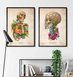 Anatomie du squelette - Floral - Vintage-Codex Anatomicus Online