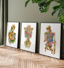 Anatomie du squelette II - Floral - Blanc-Codex Anatomicus Best