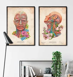 Anatomie du visage - Floral - Vintage-Codex Anatomicus New