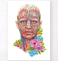 Anatomie du visage - Floral - Blanc-Codex Anatomicus Online
