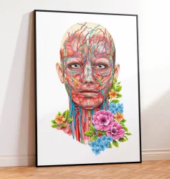 Anatomie du visage - Floral - Blanc-Codex Anatomicus Online