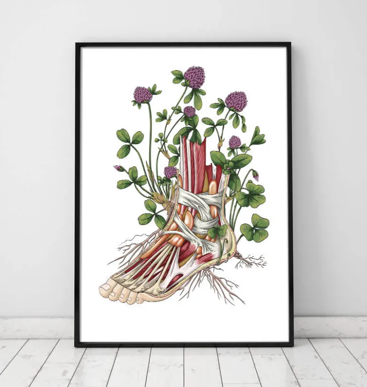 Anatomie florale du pied-Codex Anatomicus Outlet
