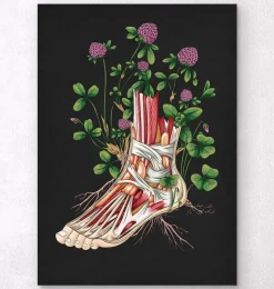 Anatomie florale du pied - Noir-Codex Anatomicus Clearance