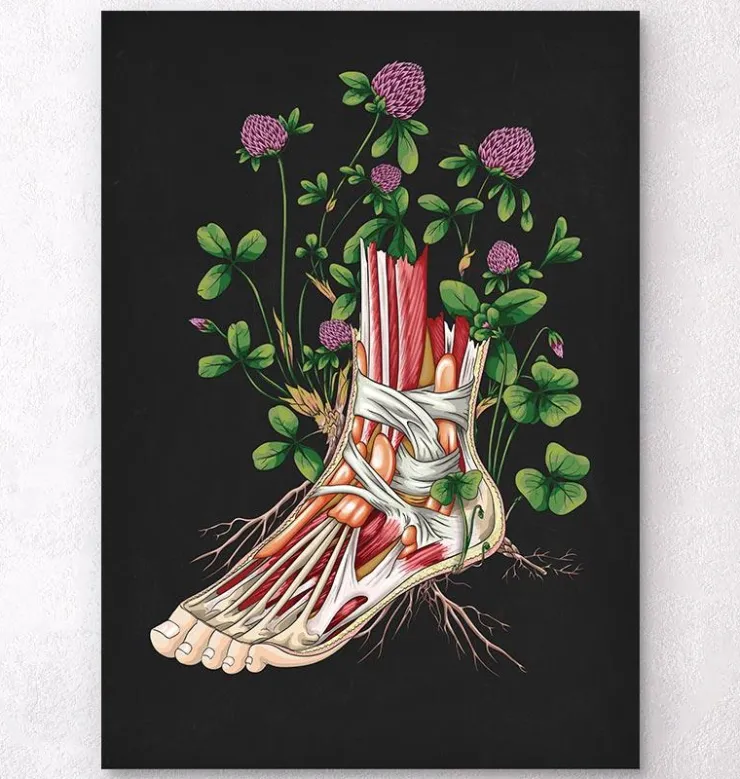 Anatomie florale du pied - Noir-Codex Anatomicus Clearance
