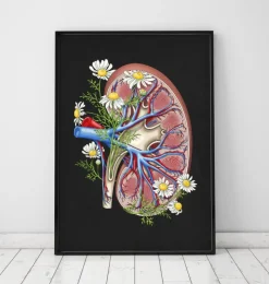 Anatomie florale du rein - Noir-Codex Anatomicus New