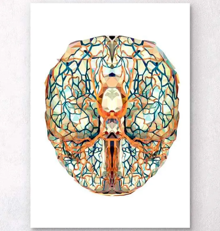 Anatomie géométrique du cerveau I-Codex Anatomicus Outlet