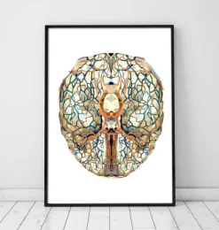 Anatomie géométrique du cerveau I-Codex Anatomicus Outlet