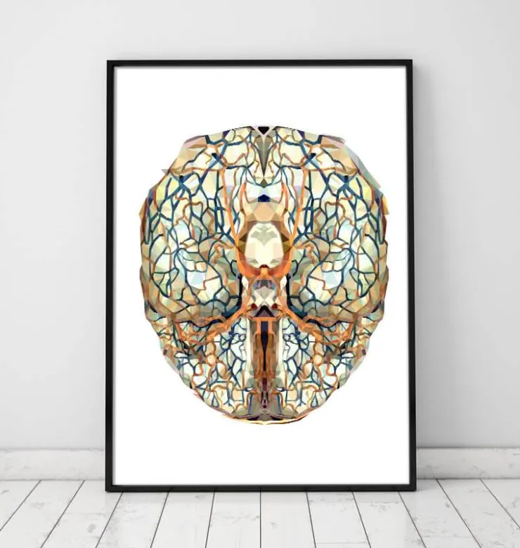 Anatomie géométrique du cerveau I-Codex Anatomicus Outlet