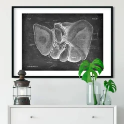 Anatomie hépatique - Chalkboard-Codex Anatomicus Best