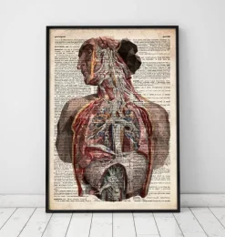 Anatomie humaine - Dictionnaire-Codex Anatomicus Clearance