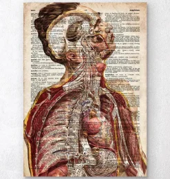 Anatomie humaine géométrique II - Ancien dictionnaire-Codex Anatomicus Discount