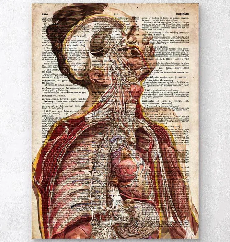 Anatomie humaine géométrique II - Ancien dictionnaire-Codex Anatomicus Discount