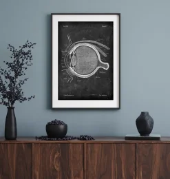Anatomie oculaire - Chalkboard-Codex Anatomicus Online