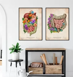 Appareil digestif - Floral - Vintage-Codex Anatomicus Outlet