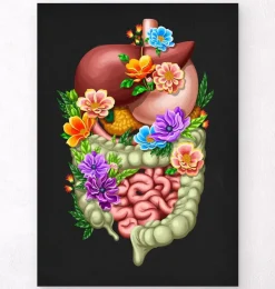 Appareil digestif - Floral - Noir-Codex Anatomicus