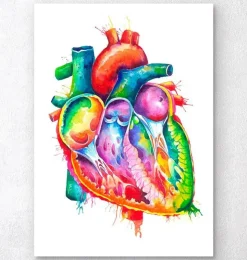 Art coeur anatomique - Aquarelle-Codex Anatomicus Discount