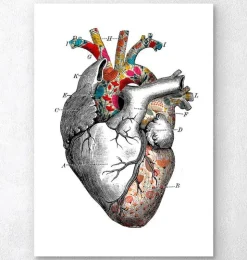 Art coeur motif floral - Blanc-Codex Anatomicus Online