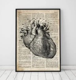 Art d'anatomie cardiaque - Ancien dictionnaire-Codex Anatomicus Clearance