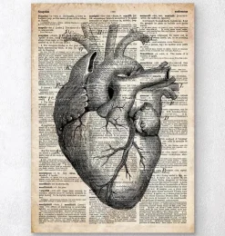 Art d'anatomie cardiaque II - Ancien dictionnaire-Codex Anatomicus Clearance