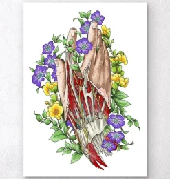 Art d'anatomie de la main - Blanc-Codex Anatomicus Clearance